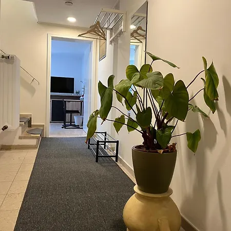 Apartamento Sani's Bergzauber - Zwischen Stadttrubel Und Erholung *